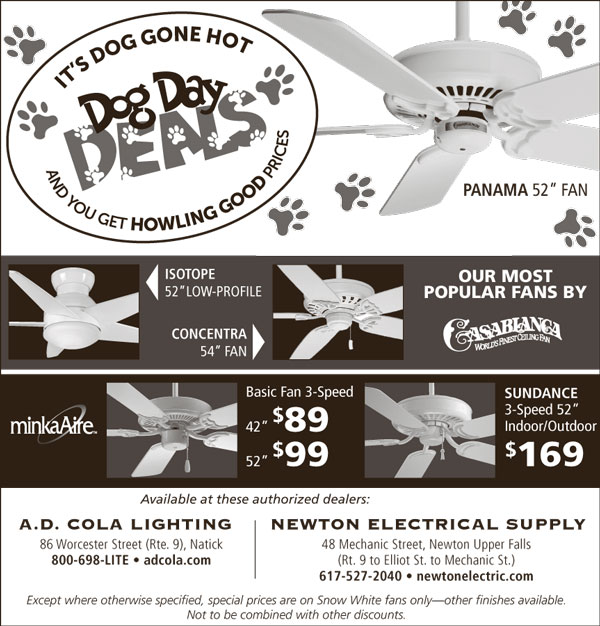 Save on Ceiling Fans Dog Day Deals