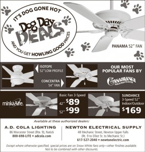 Save on Ceiling Fans Dog Day Deals