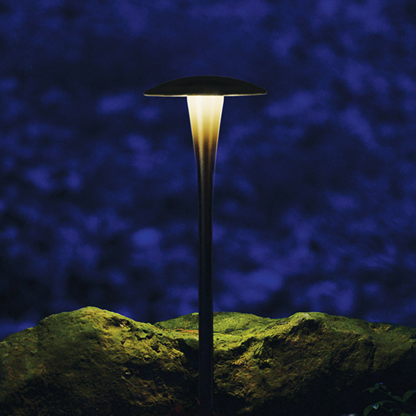 Landscape Lighting LED Dome Path Light in Bronze WAC 6011-27BZ