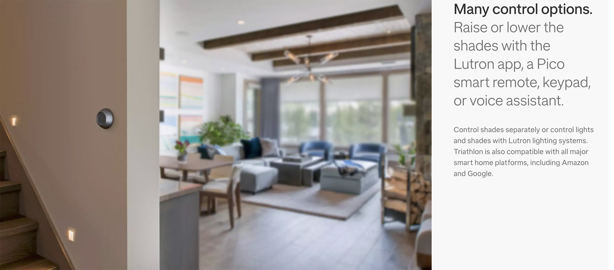Lutron Power Shades